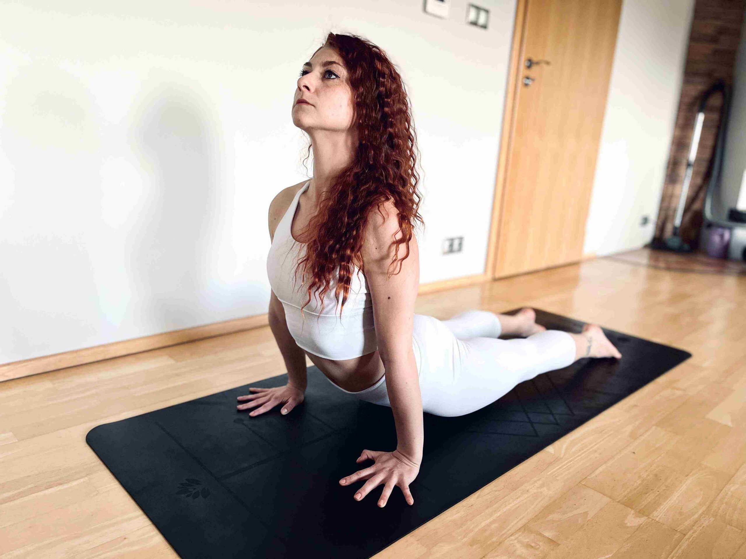 Kořeny The Roots Programme